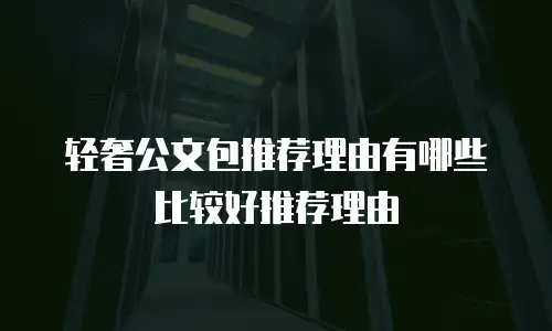 轻奢公文包推荐理由有哪些比较好推荐理由