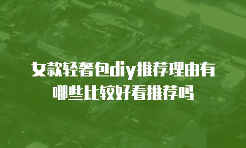 女款轻奢包diy推荐理由有哪些比较好看推荐吗