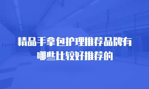 精品手拿包护理推荐品牌有哪些比较好推荐的