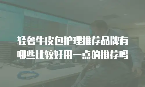 轻奢牛皮包护理推荐品牌有哪些比较好用一点的推荐吗