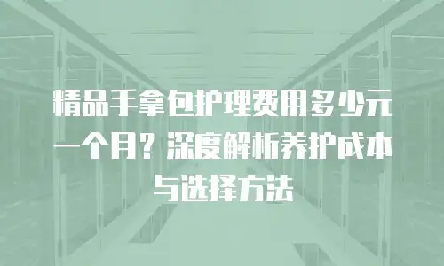 精品手拿包护理费用多少元一个月？深度解析养护成本与选择方法