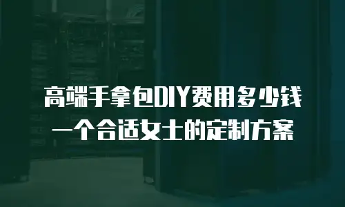 高端手拿包DIY费用多少钱一个合适女士的定制方案