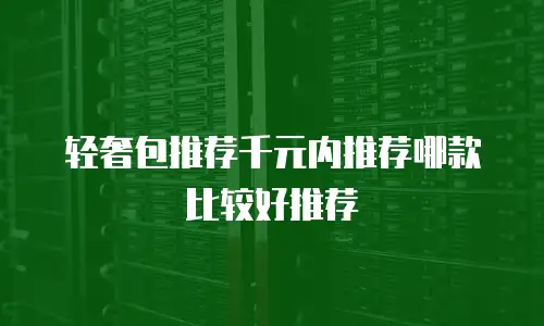 轻奢包推荐千元内推荐哪款比较好推荐