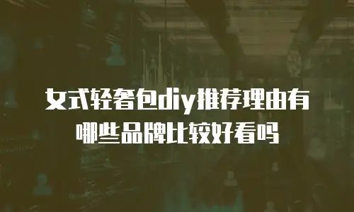 女式轻奢包diy推荐理由有哪些品牌比较好看吗