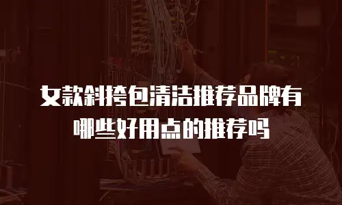 女款斜挎包清洁推荐品牌有哪些好用点的推荐吗