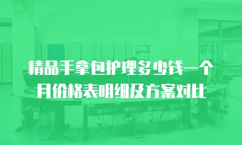 精品手拿包护理多少钱一个月价格表明细及方案对比
