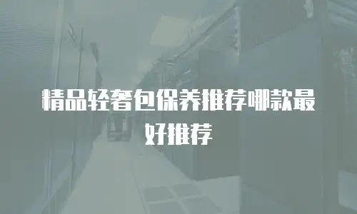 精品轻奢包保养推荐哪款最好推荐