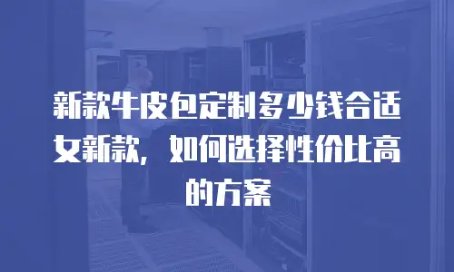 新款牛皮包定制多少钱合适女新款，如何选择性价比高的方案
