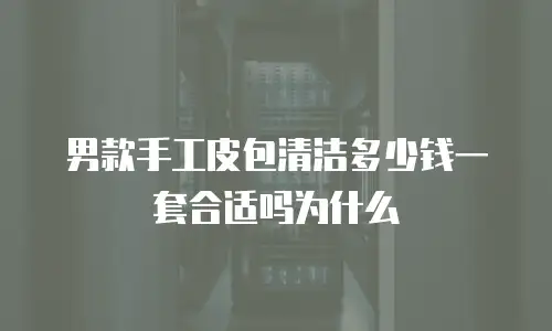 男款手工皮包清洁多少钱一套合适吗为什么