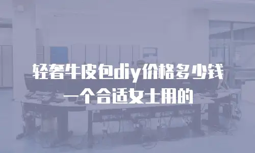 轻奢牛皮包diy价格多少钱一个合适女士用的