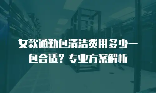 女款通勤包清洁费用多少一包合适？专业方案解析