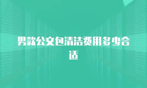 男款公文包清洁费用多少合适