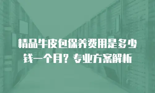 精品牛皮包保养费用是多少钱一个月？专业方案解析
