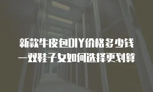 新款牛皮包DIY价格多少钱 一双鞋子女如何选择更划算