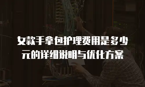 女款手拿包护理费用是多少元的详细说明与优化方案