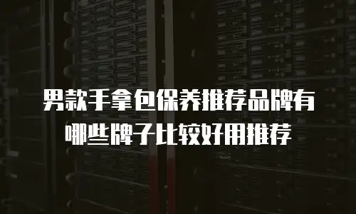 男款手拿包保养推荐品牌有哪些牌子比较好用推荐
