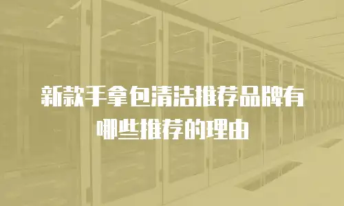 新款手拿包清洁推荐品牌有哪些推荐的理由