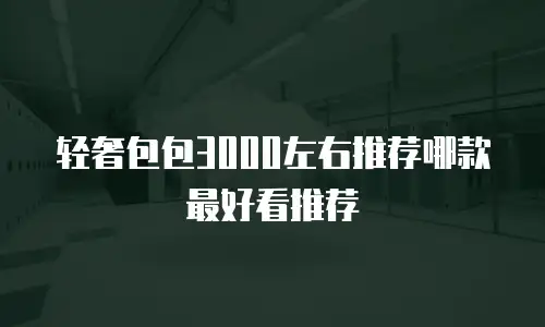 轻奢包包3000左右推荐哪款最好看推荐