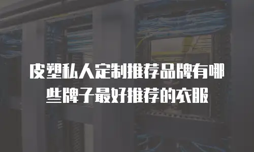 皮塑私人定制推荐品牌有哪些牌子最好推荐的衣服