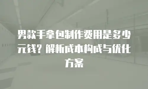 男款手拿包制作费用是多少元钱？解析成本构成与优化方案