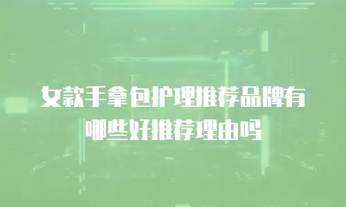 女款手拿包护理推荐品牌有哪些好推荐理由吗