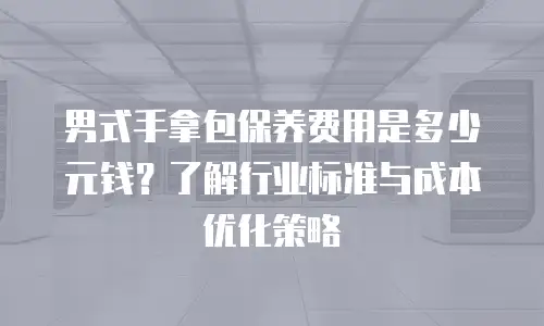 男式手拿包保养费用是多少元钱？了解行业标准与成本优化策略