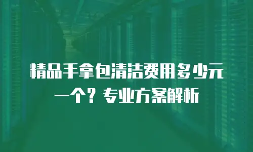 精品手拿包清洁费用多少元一个？专业方案解析