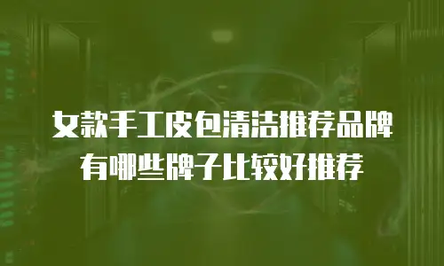女款手工皮包清洁推荐品牌有哪些牌子比较好推荐