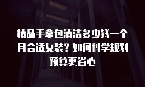 精品手拿包清洁多少钱一个月合适女装？如何科学规划预算更省心