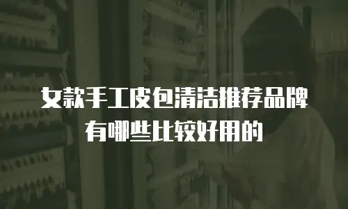 女款手工皮包清洁推荐品牌有哪些比较好用的