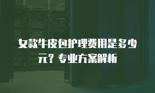 女款牛皮包护理费用是多少元？专业方案解析