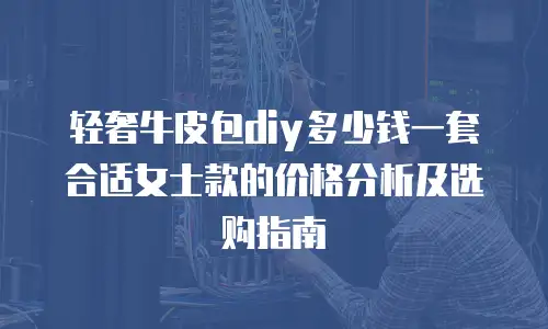 轻奢牛皮包diy多少钱一套合适女士款的价格分析及选购指南