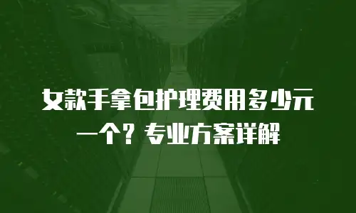 女款手拿包护理费用多少元一个？专业方案详解
