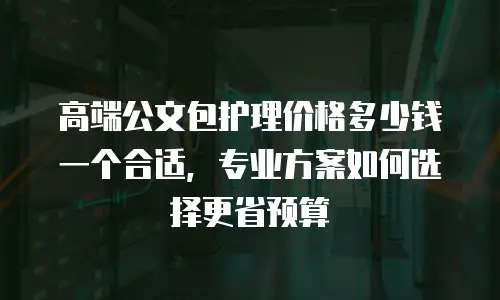 高端公文包护理价格多少钱一个合适，专业方案如何选择更省预算