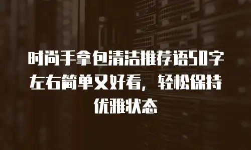 时尚手拿包清洁推荐语50字左右简单又好看，轻松保持优雅状态