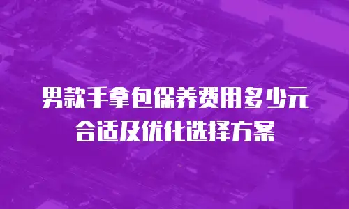 男款手拿包保养费用多少元合适及优化选择方案