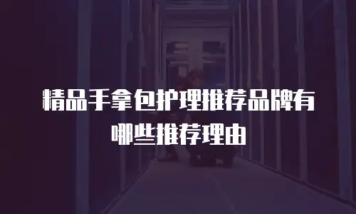 精品手拿包护理推荐品牌有哪些推荐理由