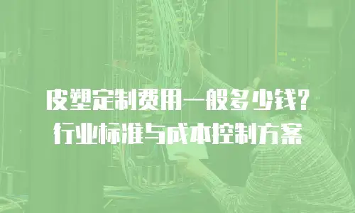 皮塑定制费用一般多少钱？行业标准与成本控制方案