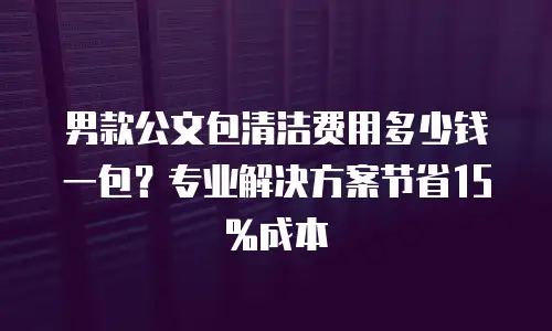 男款公文包清洁费用多少钱一包？专业解决方案节省15%成本