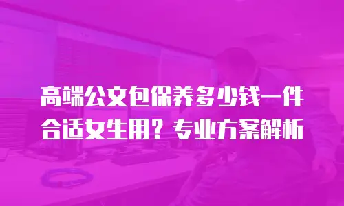 高端公文包保养多少钱一件合适女生用？专业方案解析