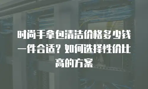 时尚手拿包清洁价格多少钱一件合适？如何选择性价比高的方案
