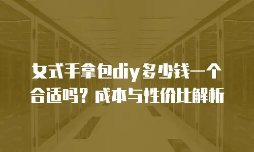女式手拿包diy多少钱一个合适吗？成本与性价比解析