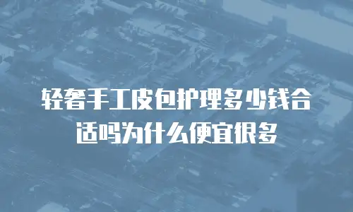 轻奢手工皮包护理多少钱合适吗为什么便宜很多