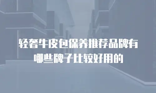 轻奢牛皮包保养推荐品牌有哪些牌子比较好用的