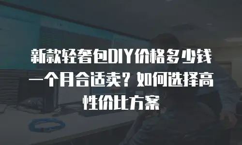 新款轻奢包DIY价格多少钱一个月合适卖？如何选择高性价比方案