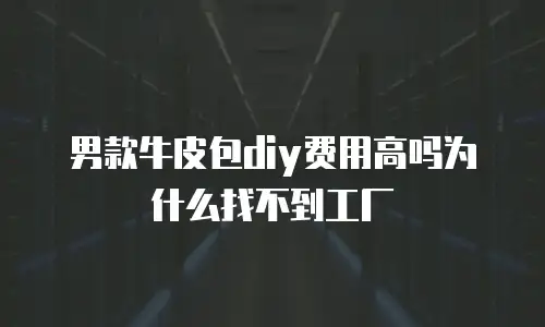 男款牛皮包diy费用高吗为什么找不到工厂