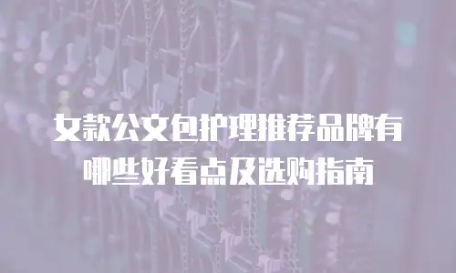 女款公文包护理推荐品牌有哪些好看点及选购指南