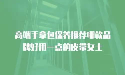 高端手拿包保养推荐哪款品牌好用一点的皮带女士