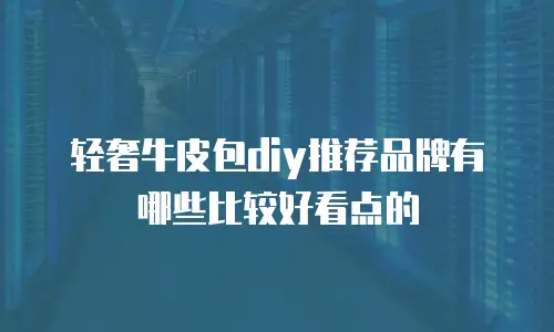 轻奢牛皮包diy推荐品牌有哪些比较好看点的