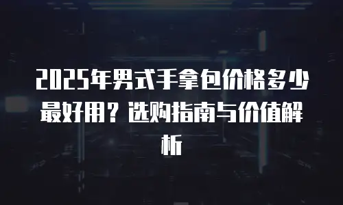 2025年男式手拿包价格多少最好用？选购指南与价值解析